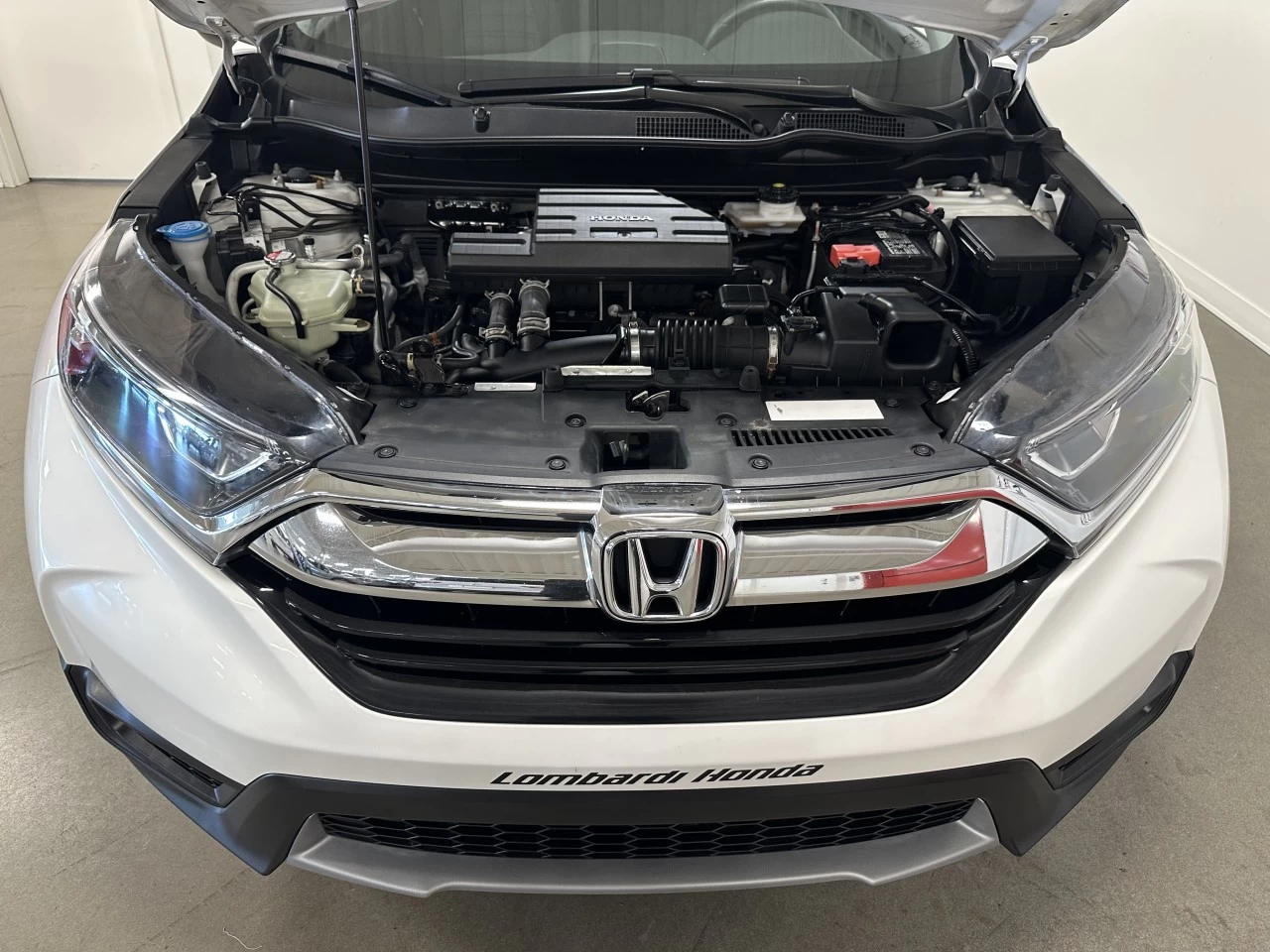 2019 Honda CR-V LX Main Image