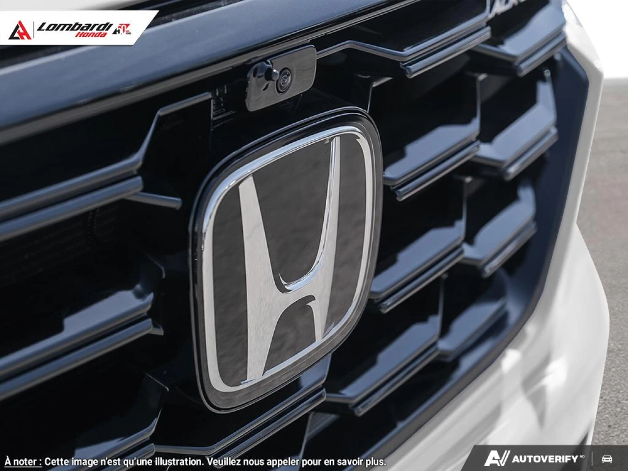 2025 HONDA PILOT BLACK EDITION Image principale