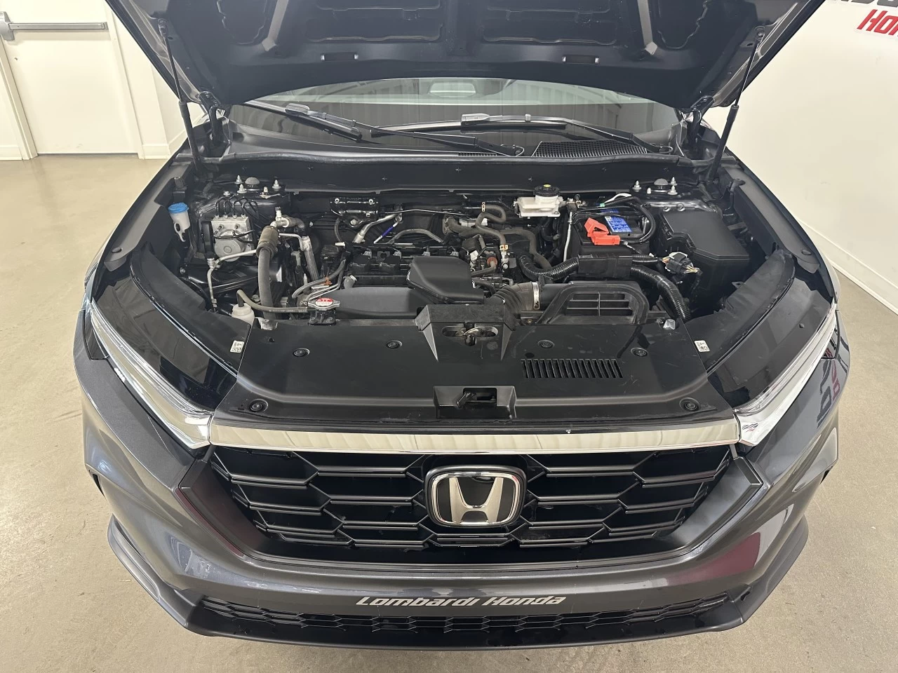 2023 Honda CR-V LX Image principale