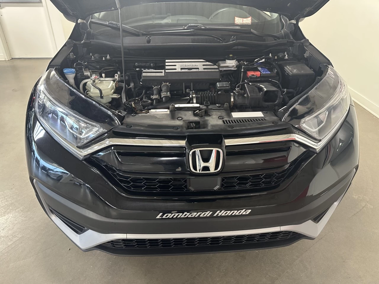 2022 Honda CR-V LX Image principale