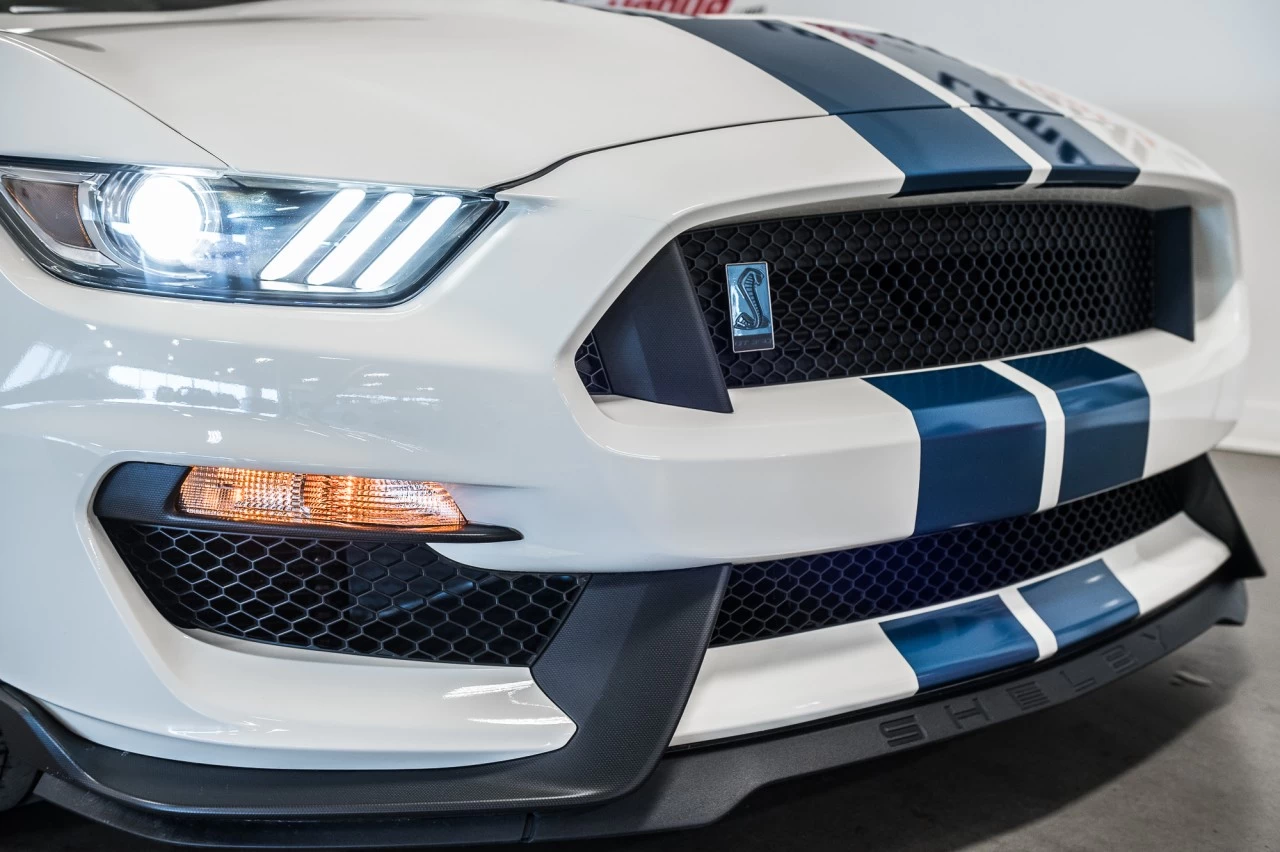 2020 Ford Mustang Shelby Main Image