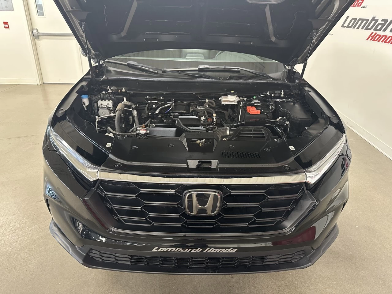 2023 Honda CR-V LX Main Image
