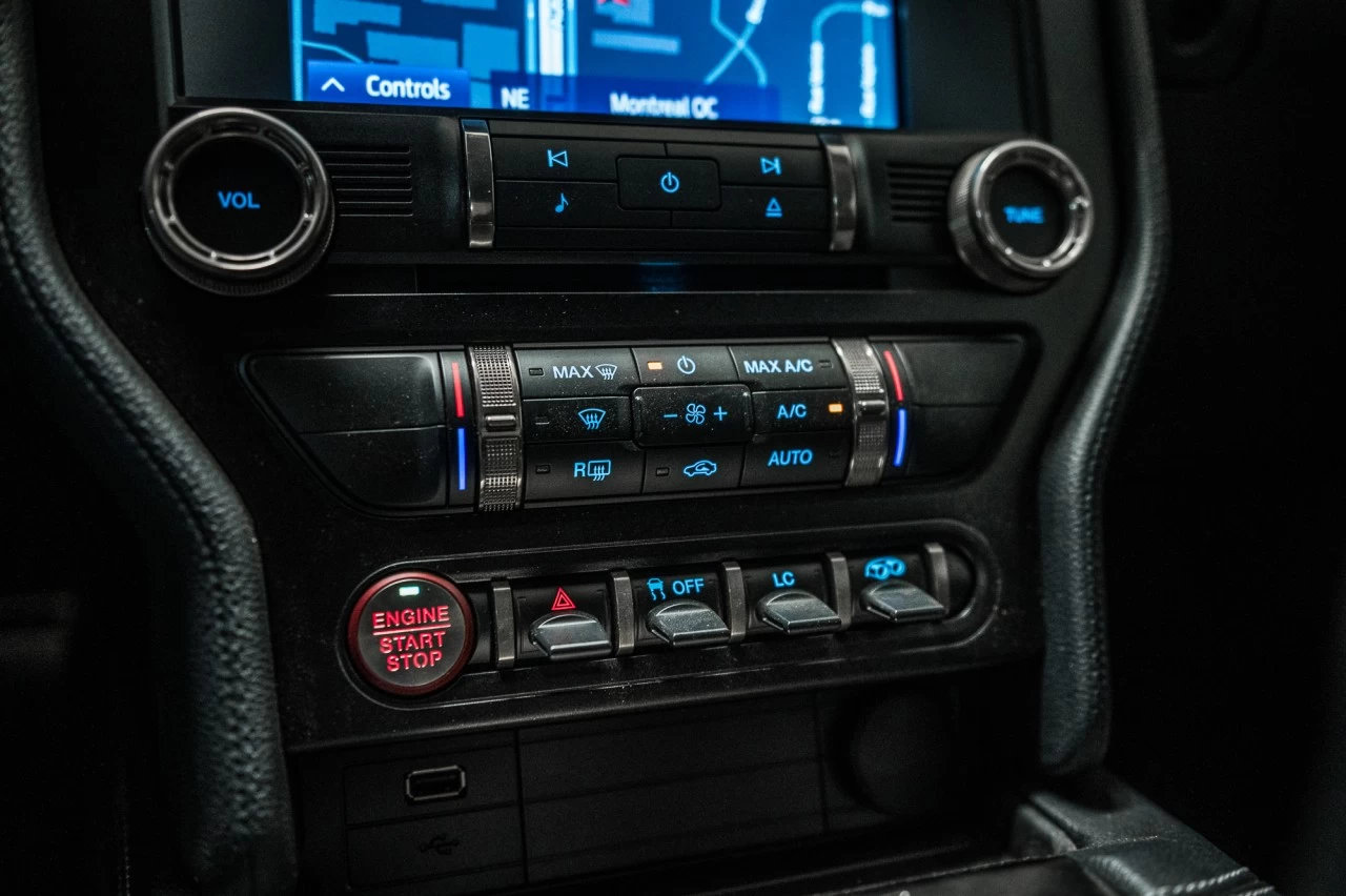 2020 Ford Mustang Shelby Main Image