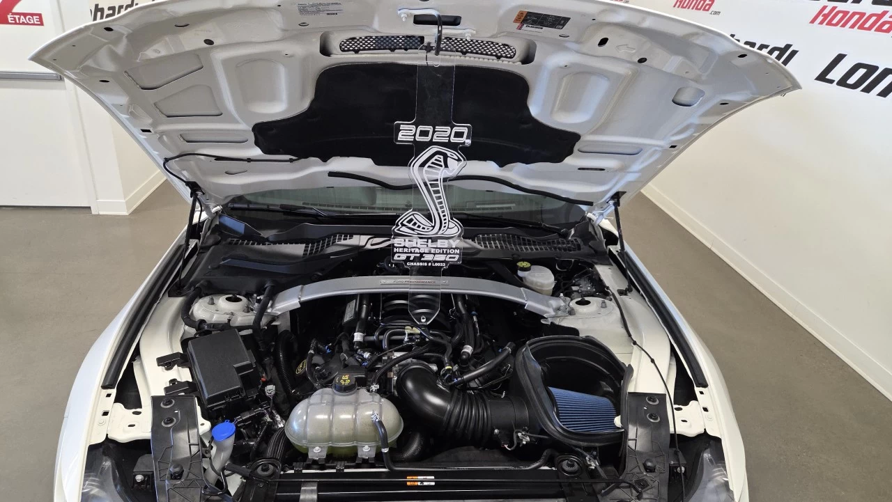 2020 Ford Mustang Shelby Image principale