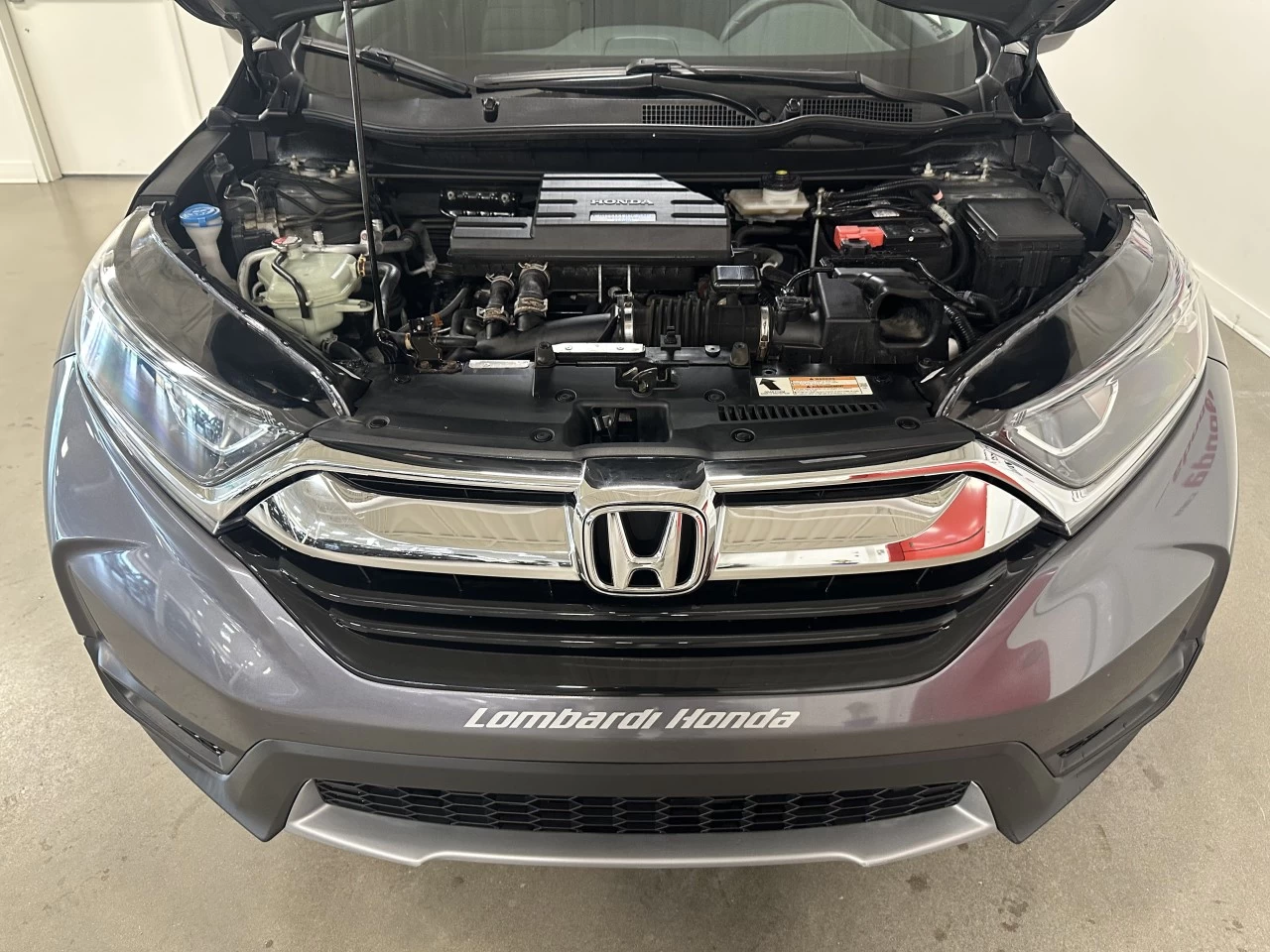 2017 Honda CR-V LX Image principale