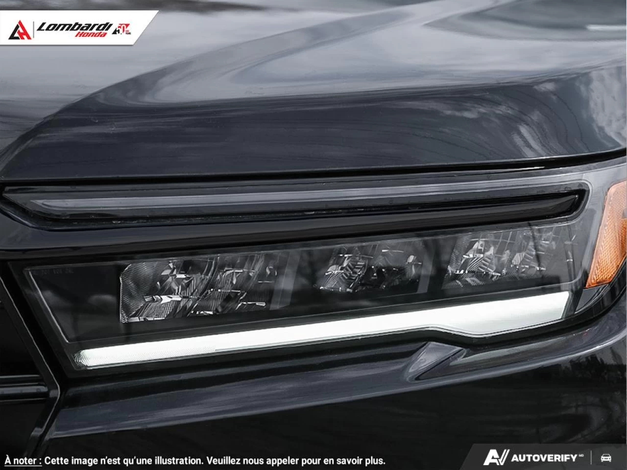 2025 HONDA PILOT TRAILSPORT Main Image