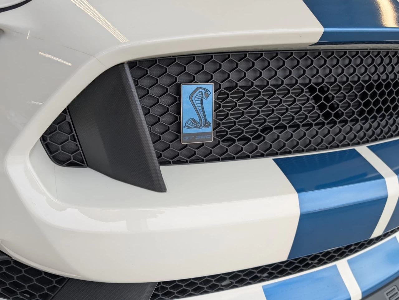 2020 Ford Mustang Shelby Main Image