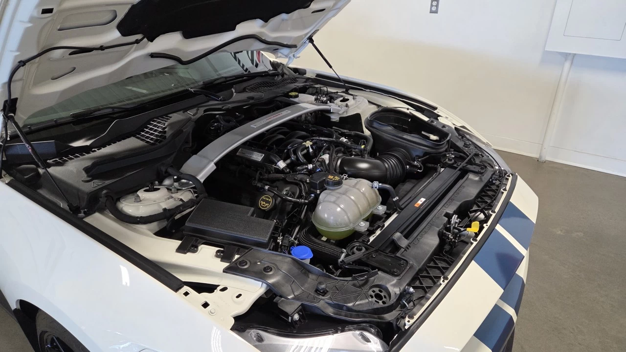 2020 Ford Mustang Shelby Image principale