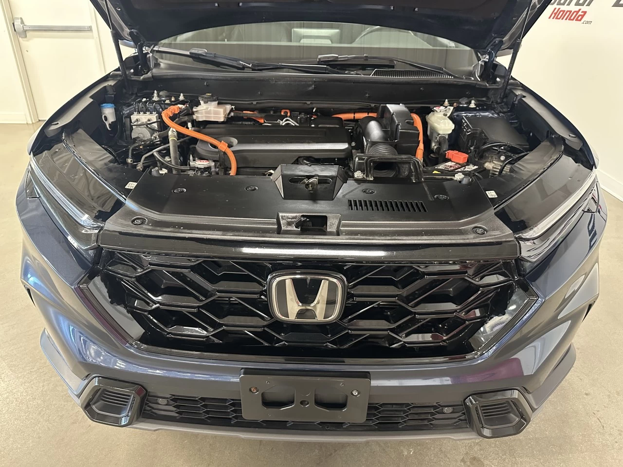 2024 Honda CR-V EX-L Main Image