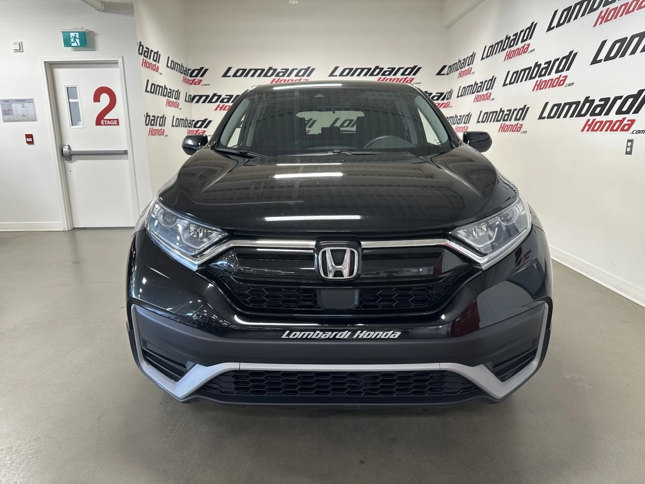 2022 Honda CR-V LX Image principale