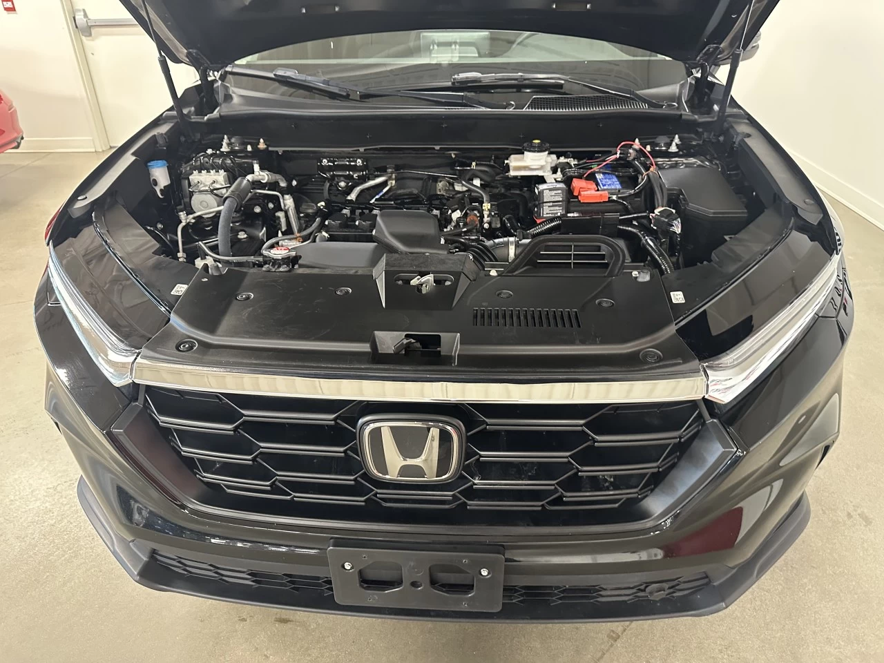 2024 Honda CR-V LX-B Main Image