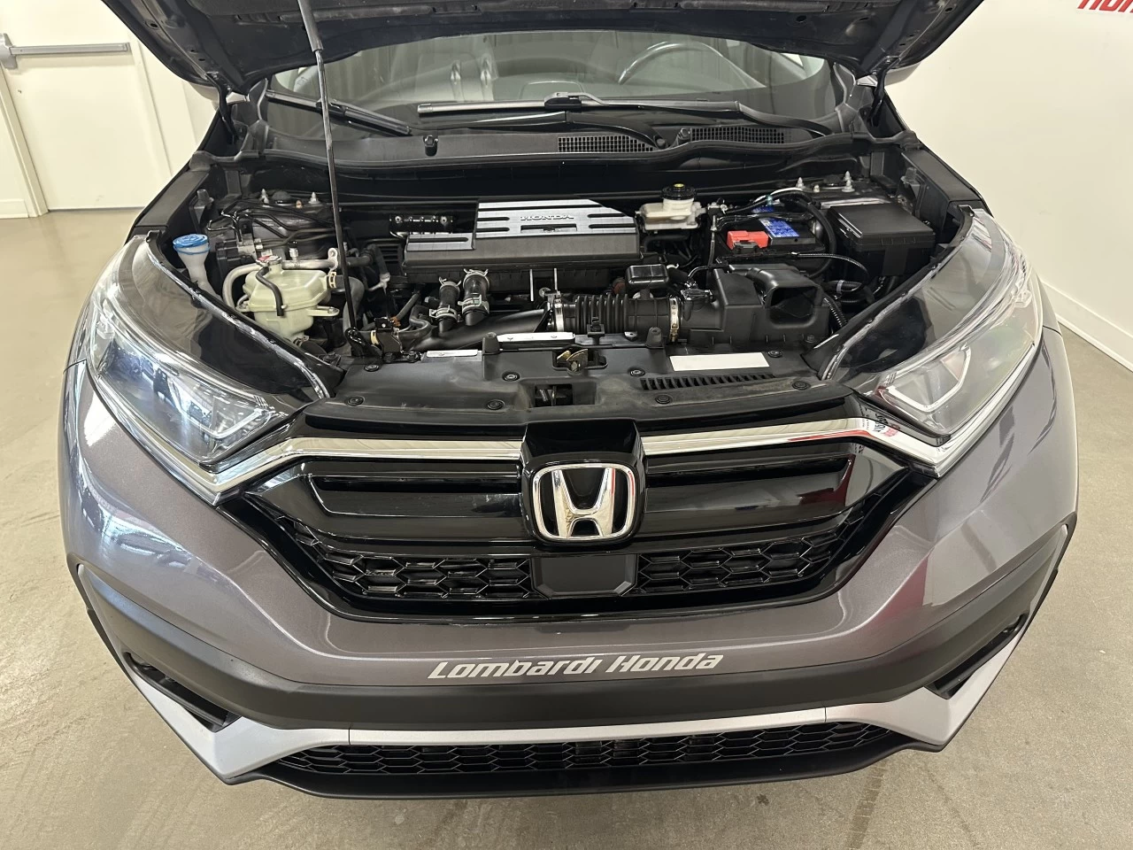 2022 Honda CR-V EX-L Image principale