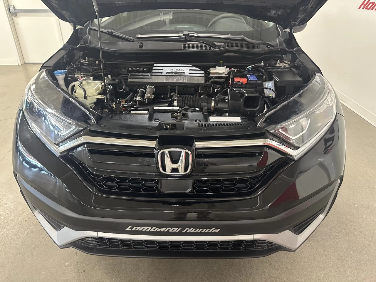 2022 Honda CR-V LX Image principale