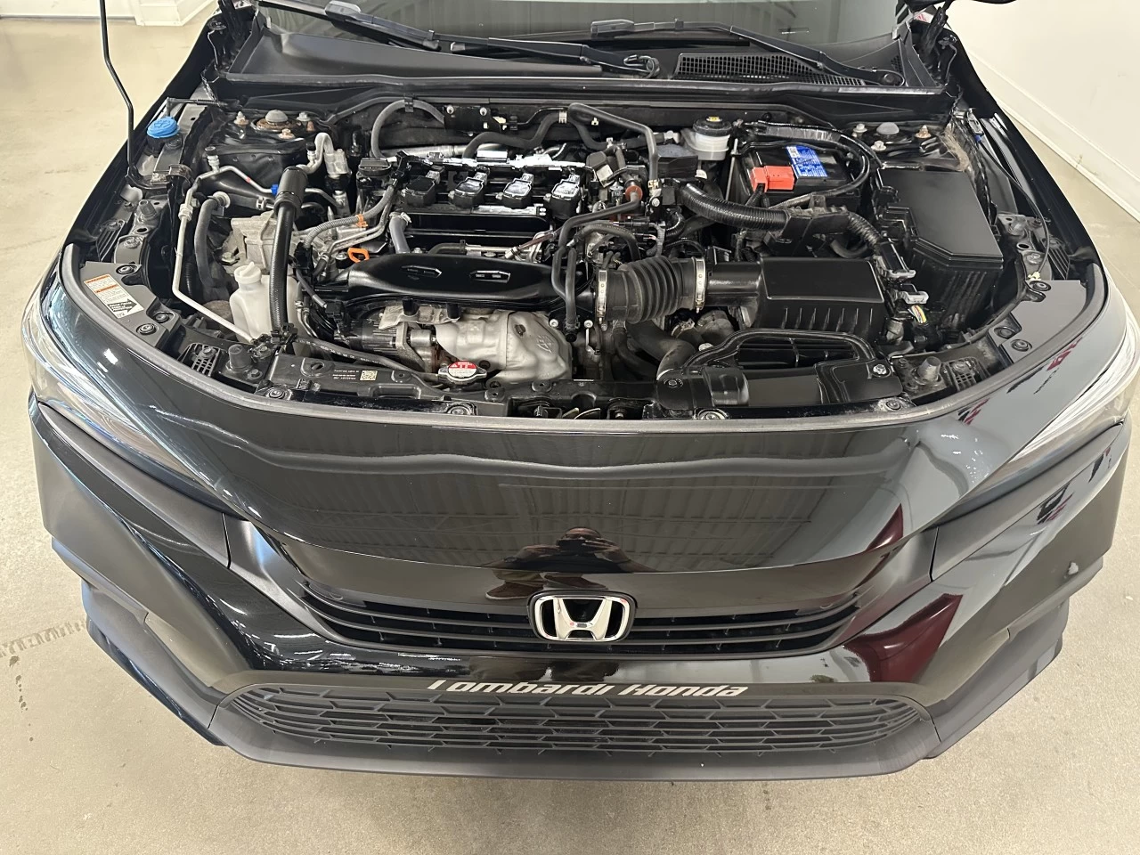 2023 Honda Civic Touring Main Image