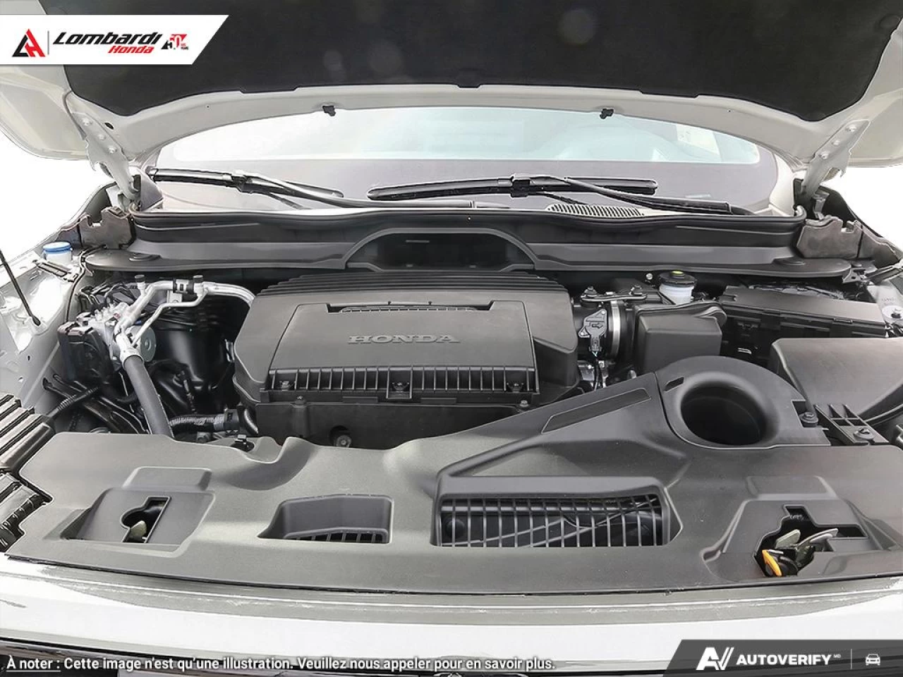 2026 HONDA PILOT BLACK EDITION Main Image