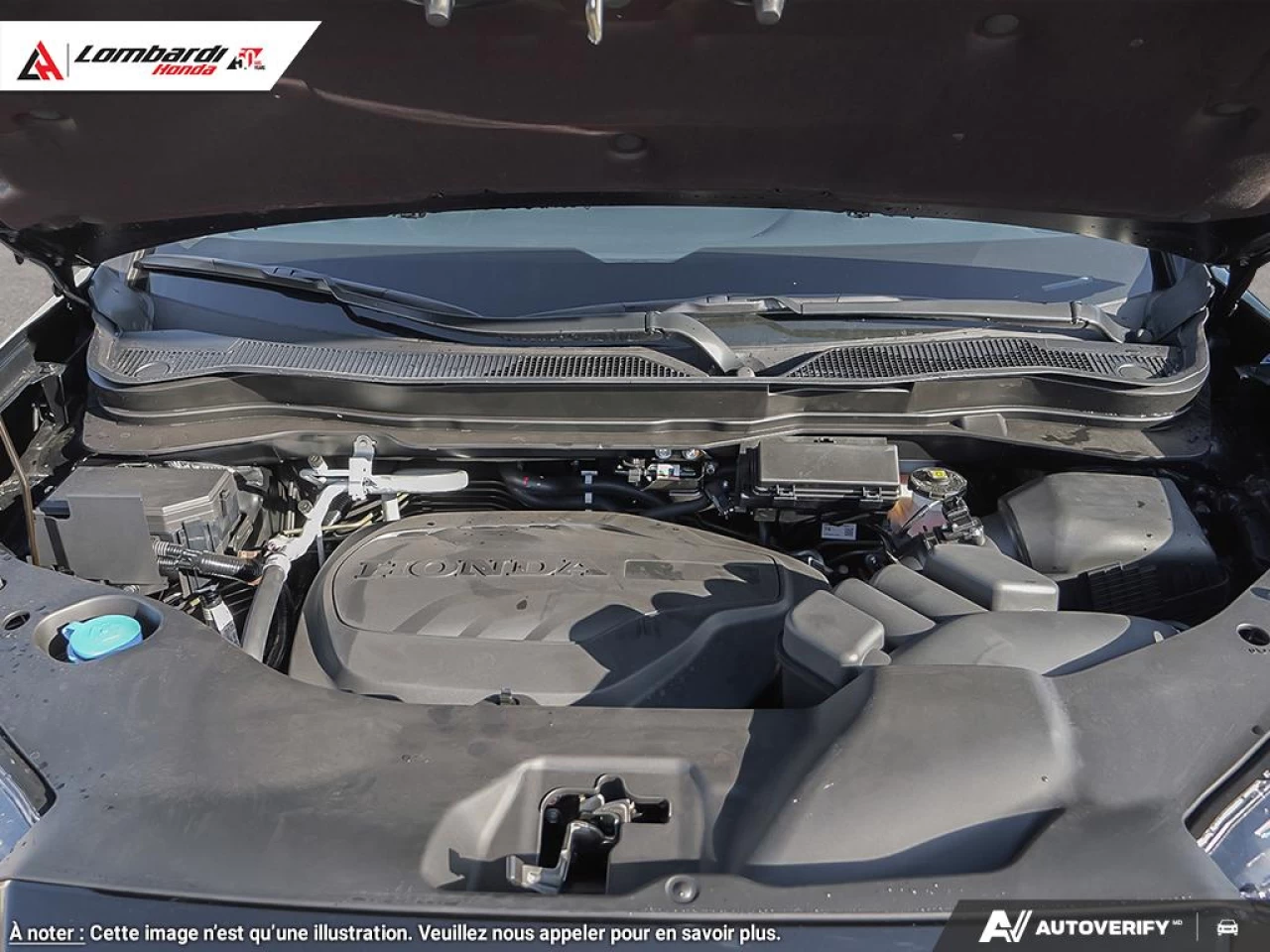 2026 HONDA RIDGELINE SPORT Main Image