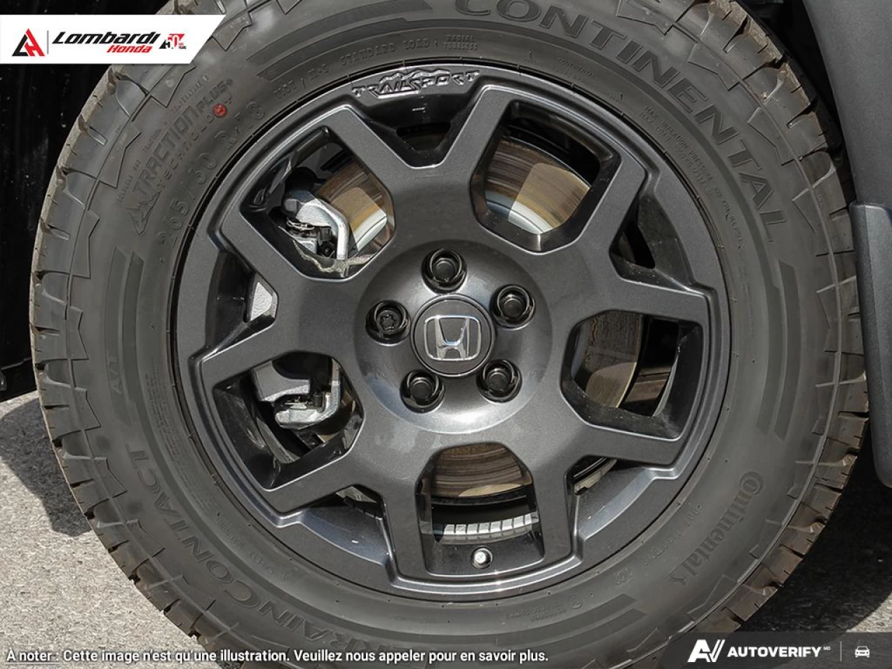 2025 HONDA PILOT TRAILSPORT Main Image