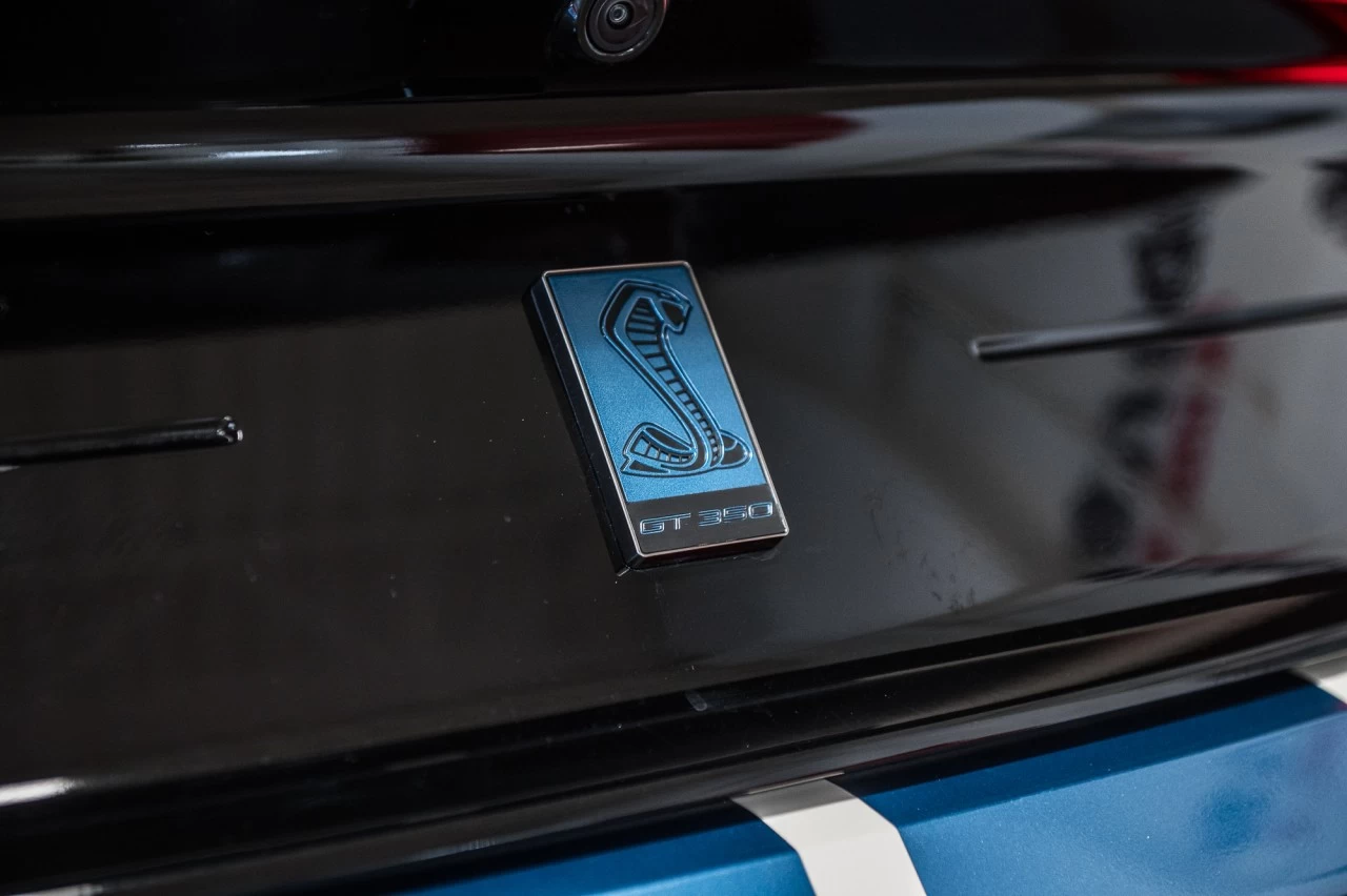 2020 Ford Mustang Shelby Main Image