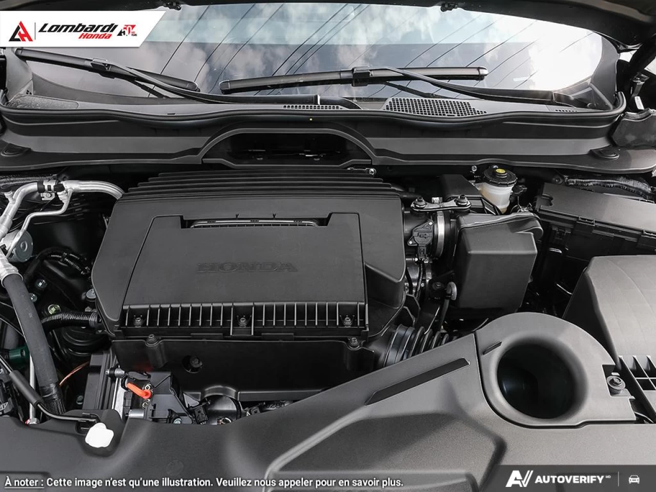 2025 HONDA PILOT TRAILSPORT Main Image