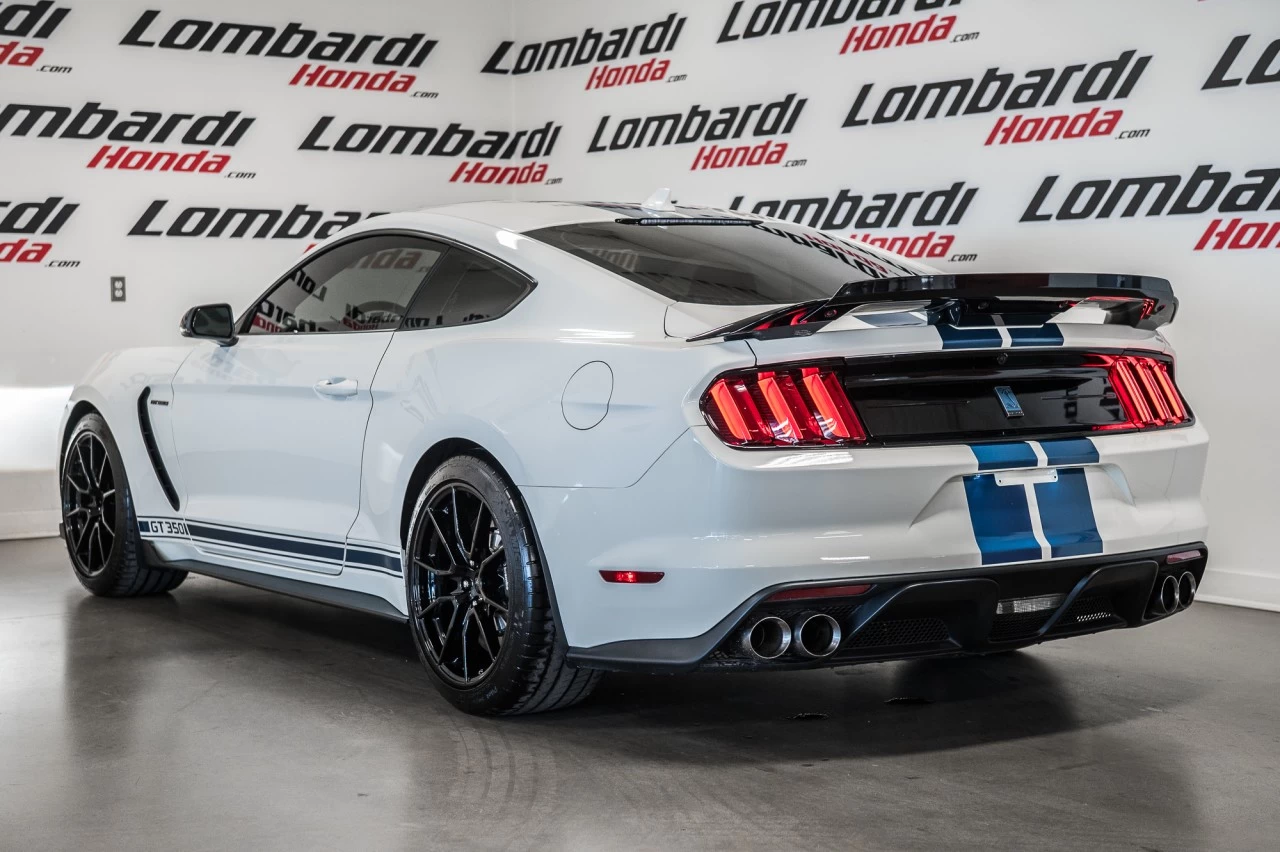 2020 Ford Mustang Shelby Main Image