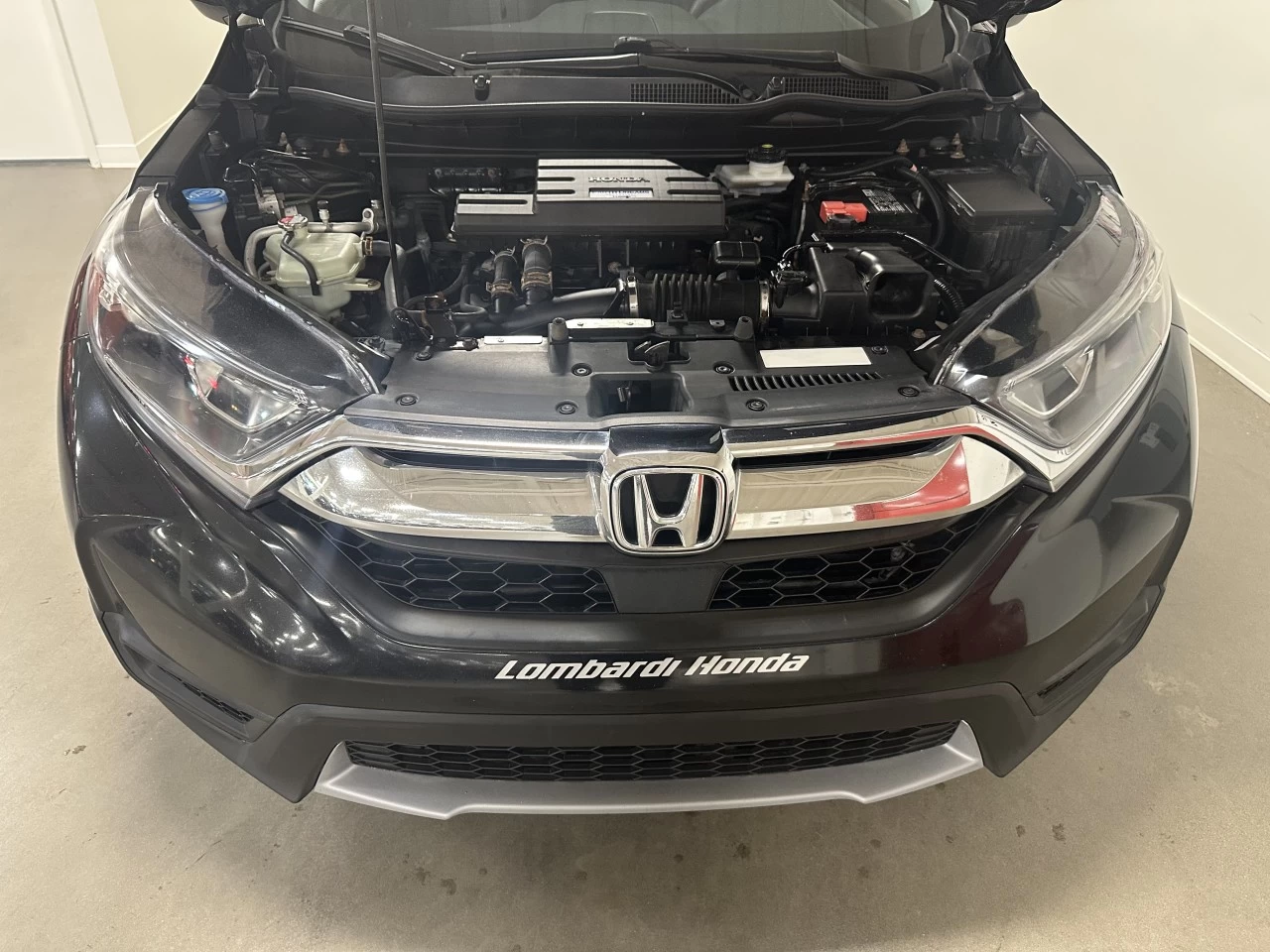 2019 Honda CR-V LX Main Image
