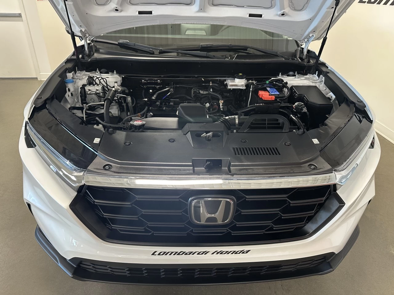 2023 Honda CR-V
                                                    LX Main Image