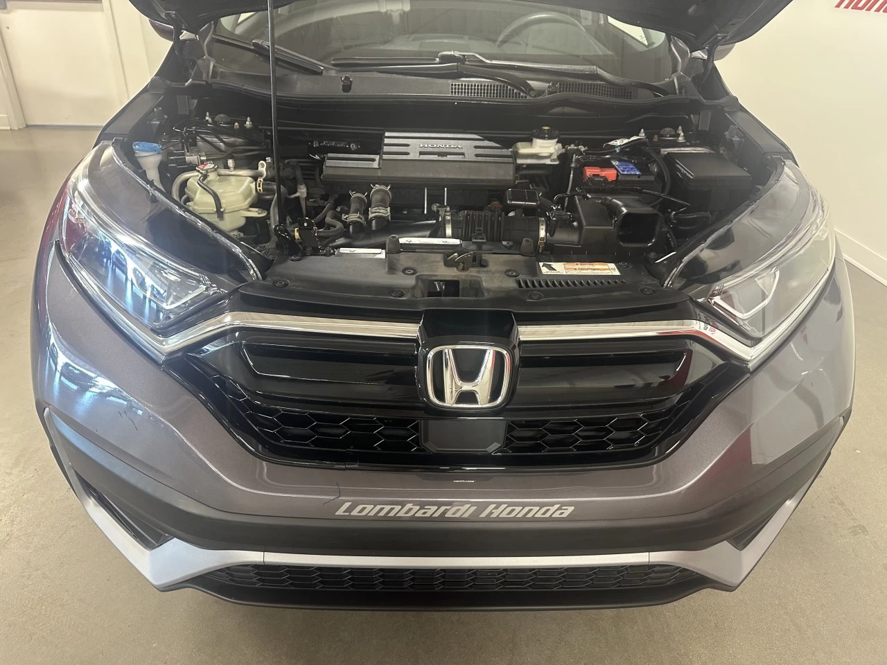 2022 Honda CR-V LX Main Image