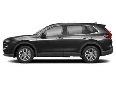 Profile, Facing to the Left