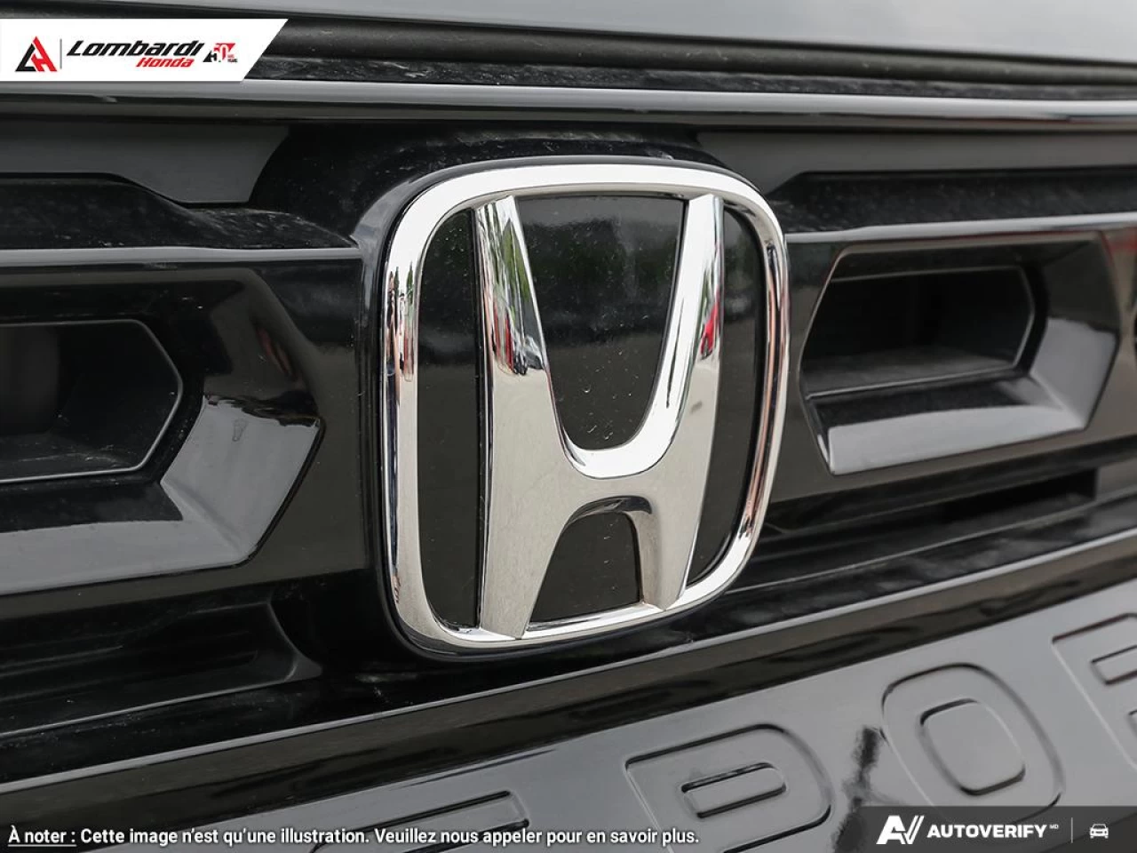2026 HONDA PASSPORT TRAILSPORT Image principale