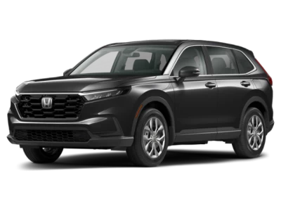 Front 3/4, Facing to the Left