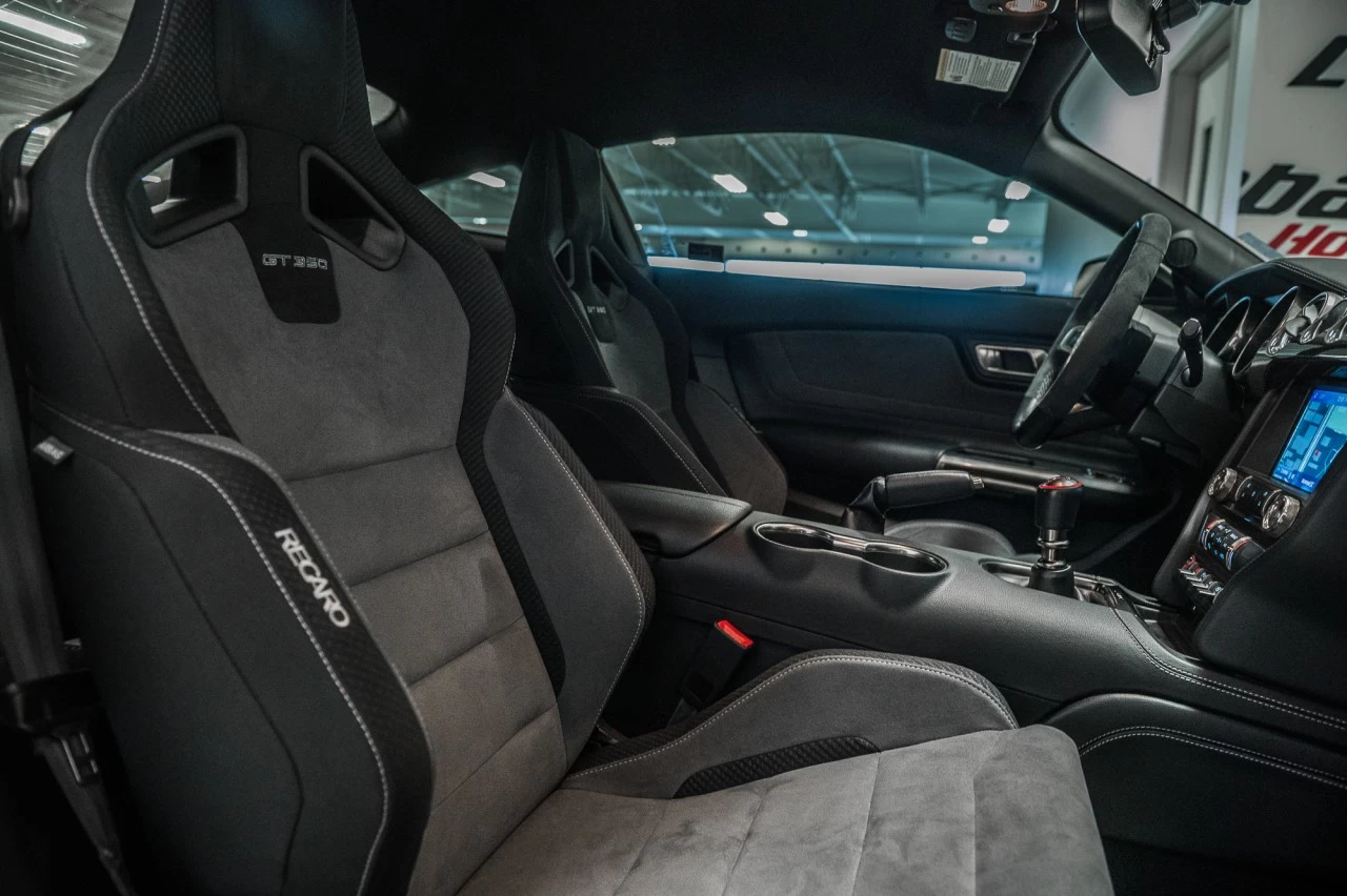 2020 Ford Mustang Shelby Main Image