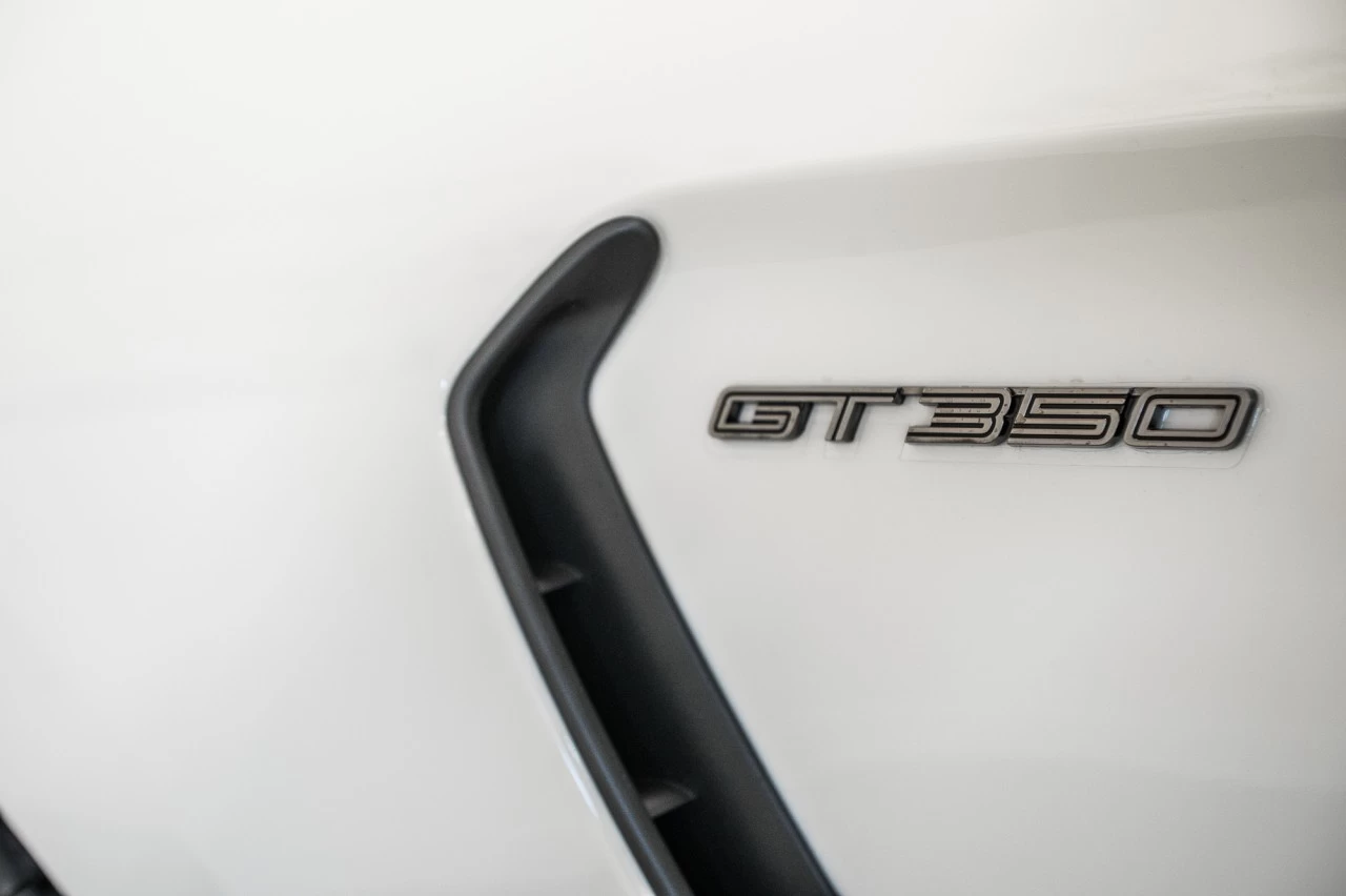 2020 Ford Mustang Shelby Main Image