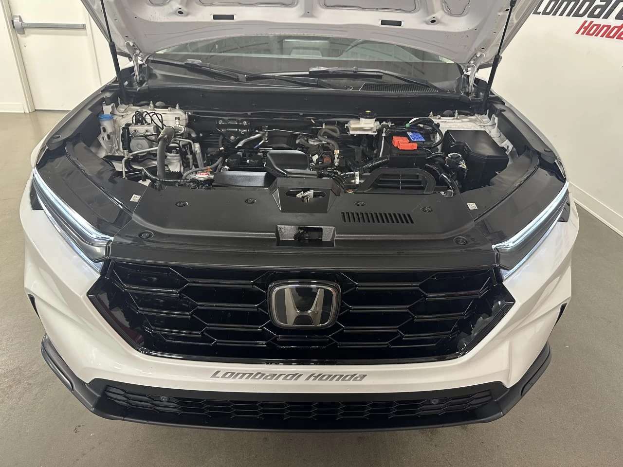 2023 Honda CR-V EX-L Image principale