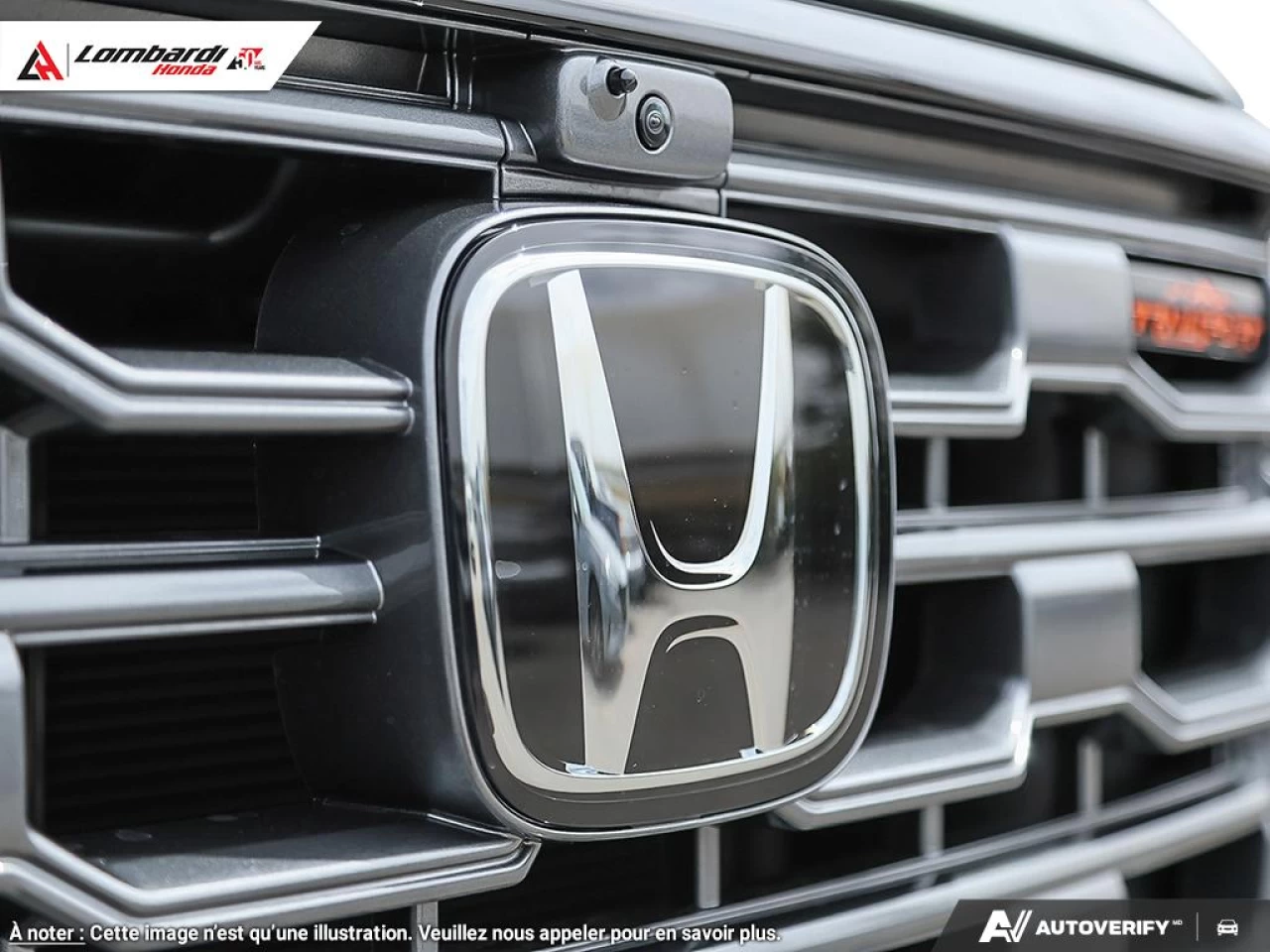 2026 HONDA PILOT TRAILSPORT Main Image