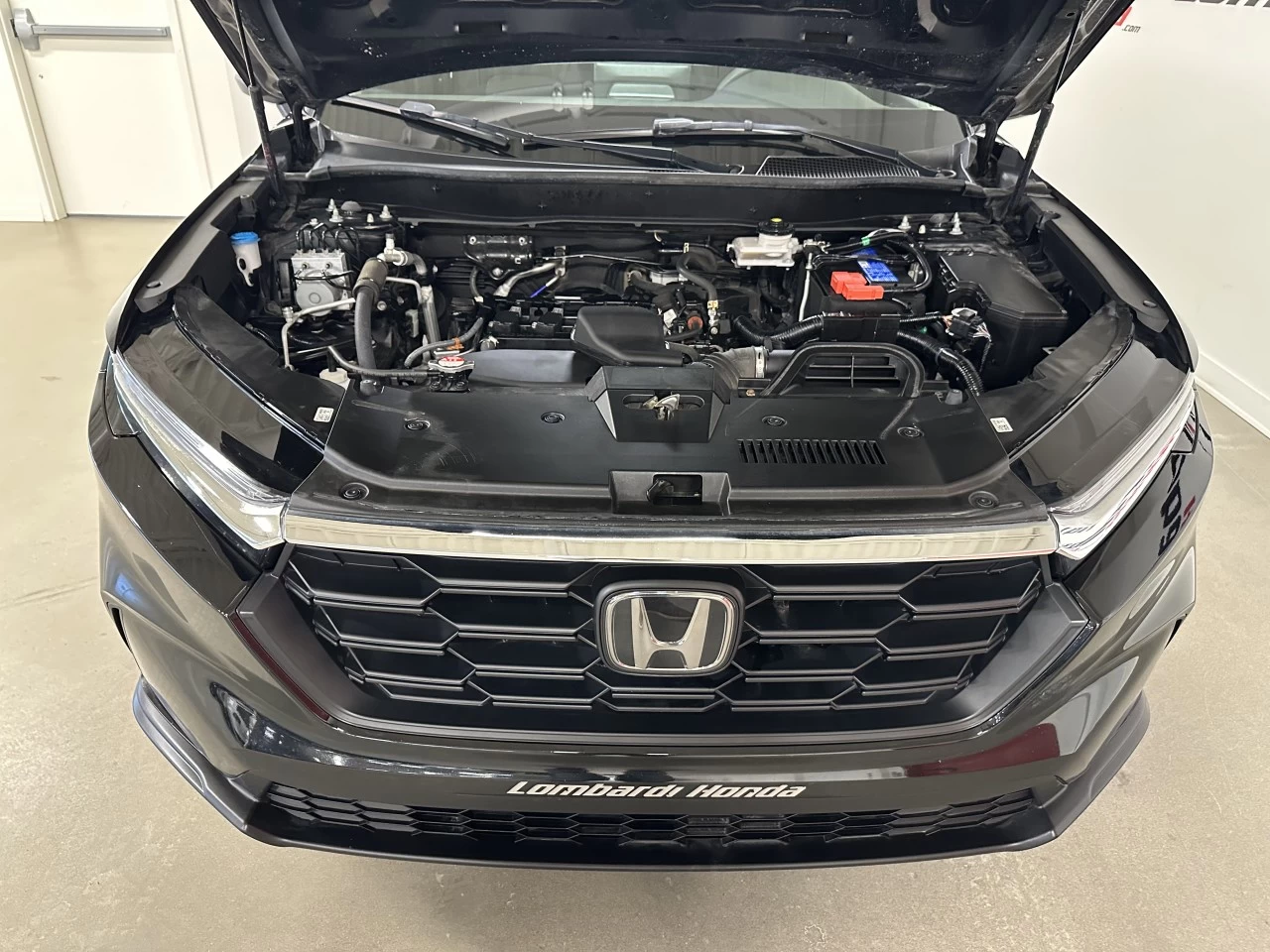 2023 Honda CR-V LX Main Image