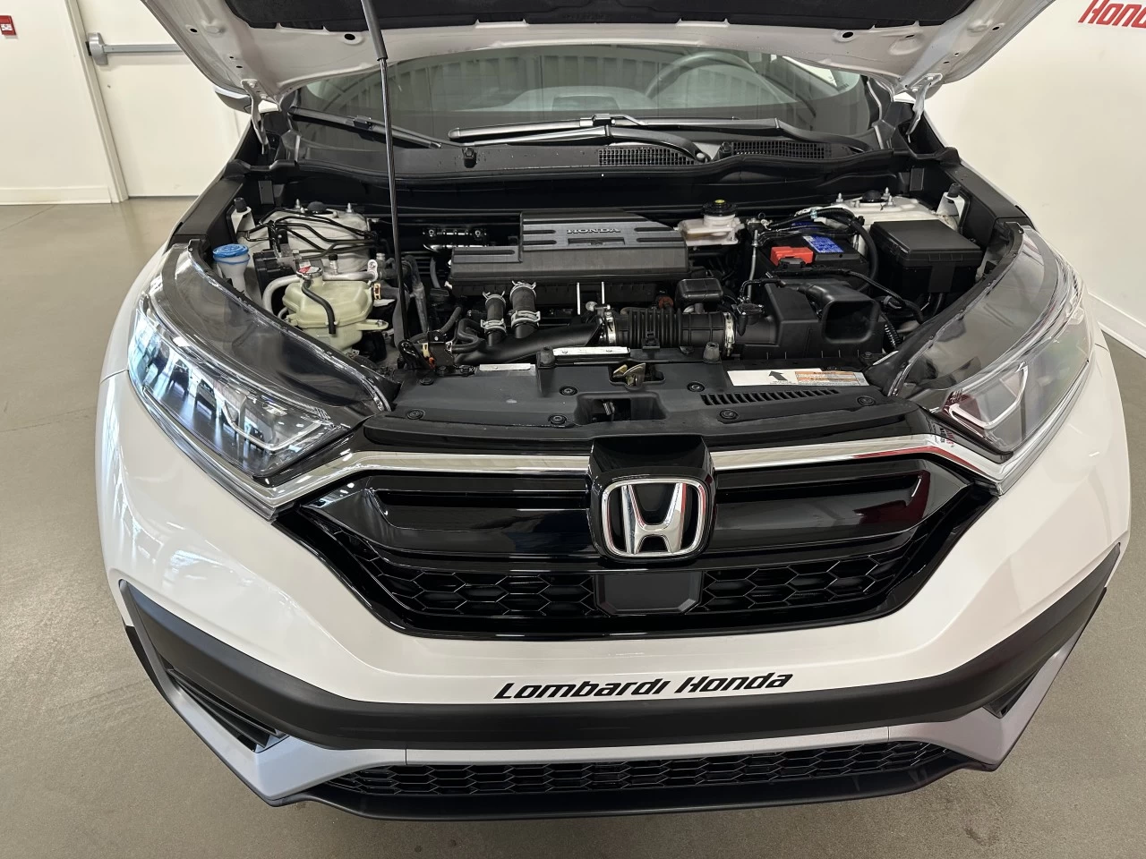 2022 Honda CR-V LX Image principale