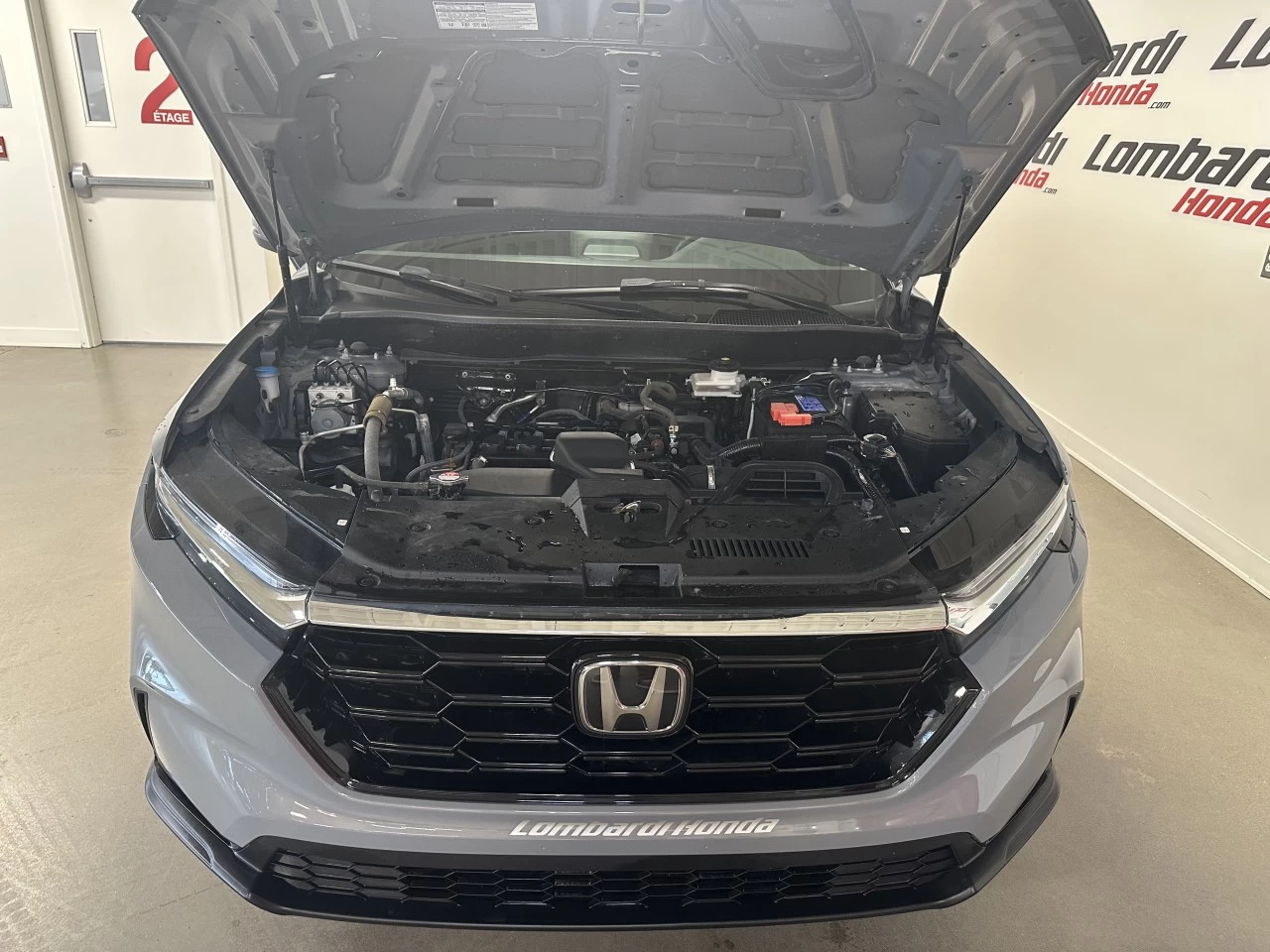 2023 Honda CR-V
                                                    Sport/Sport-B Main Image