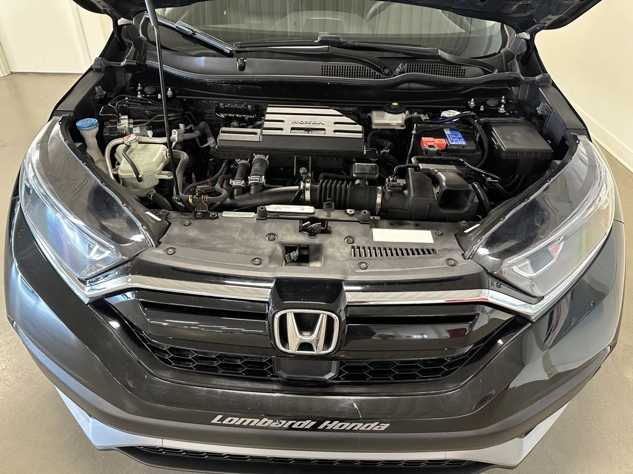 2021 Honda CR-V LX Image principale