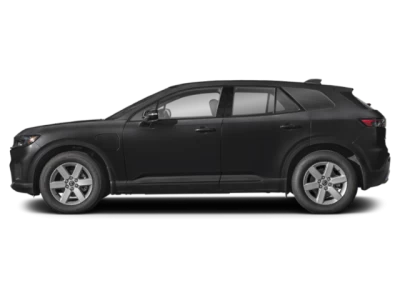 Profile, Facing to the Left