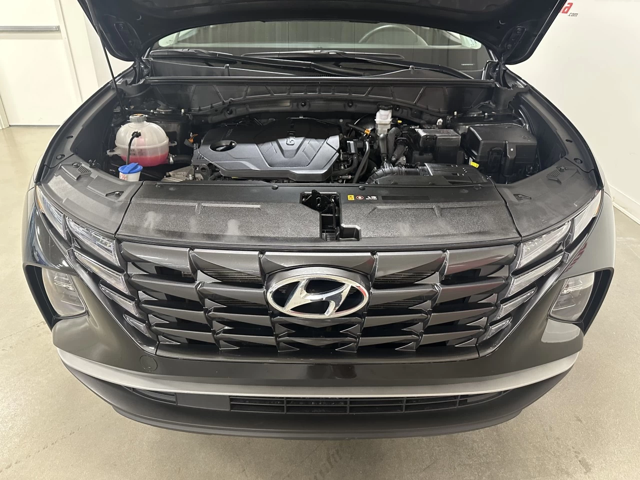 2024 Hyundai Tucson Preferred Main Image