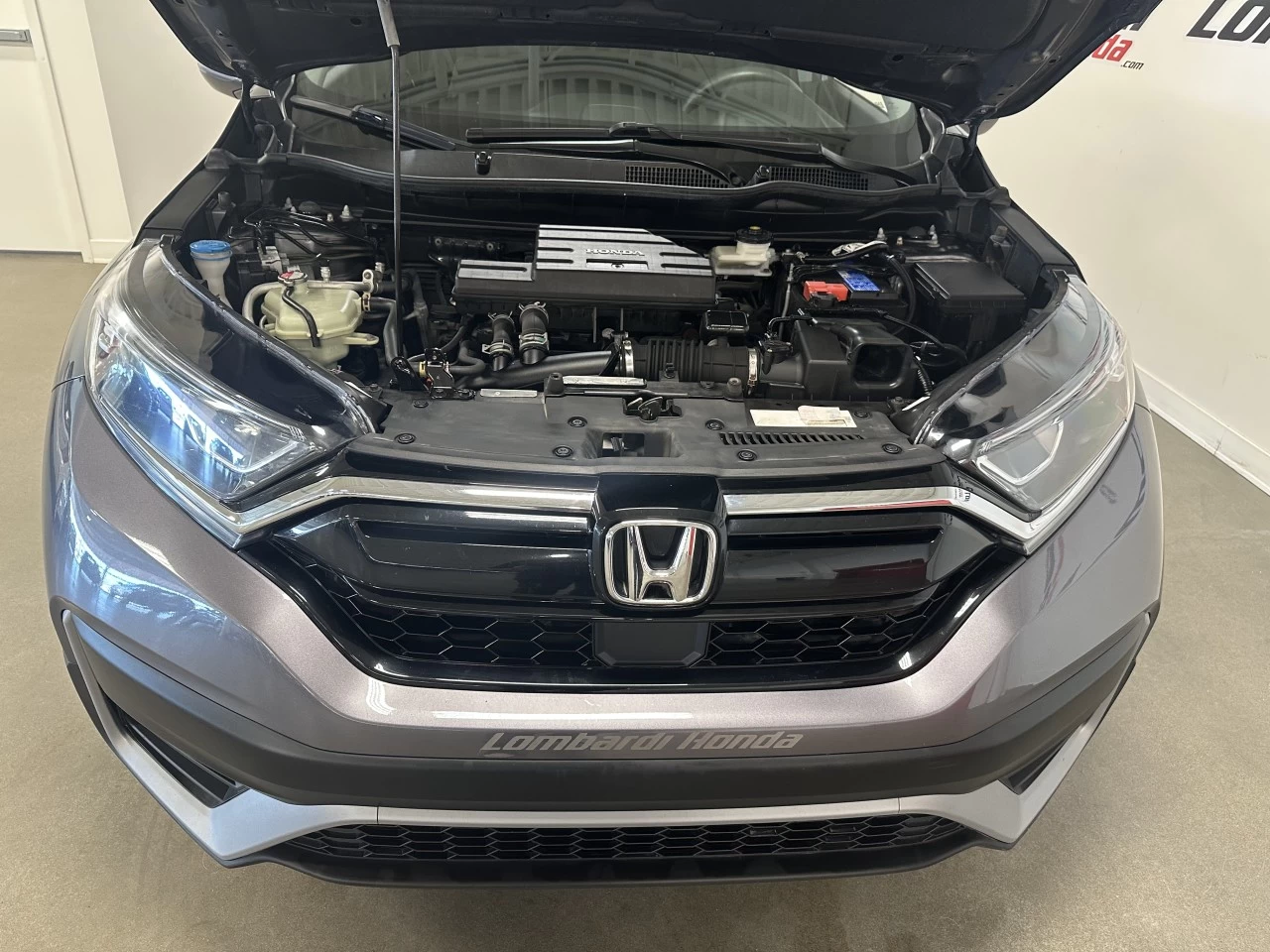 2021 Honda CR-V LX Main Image