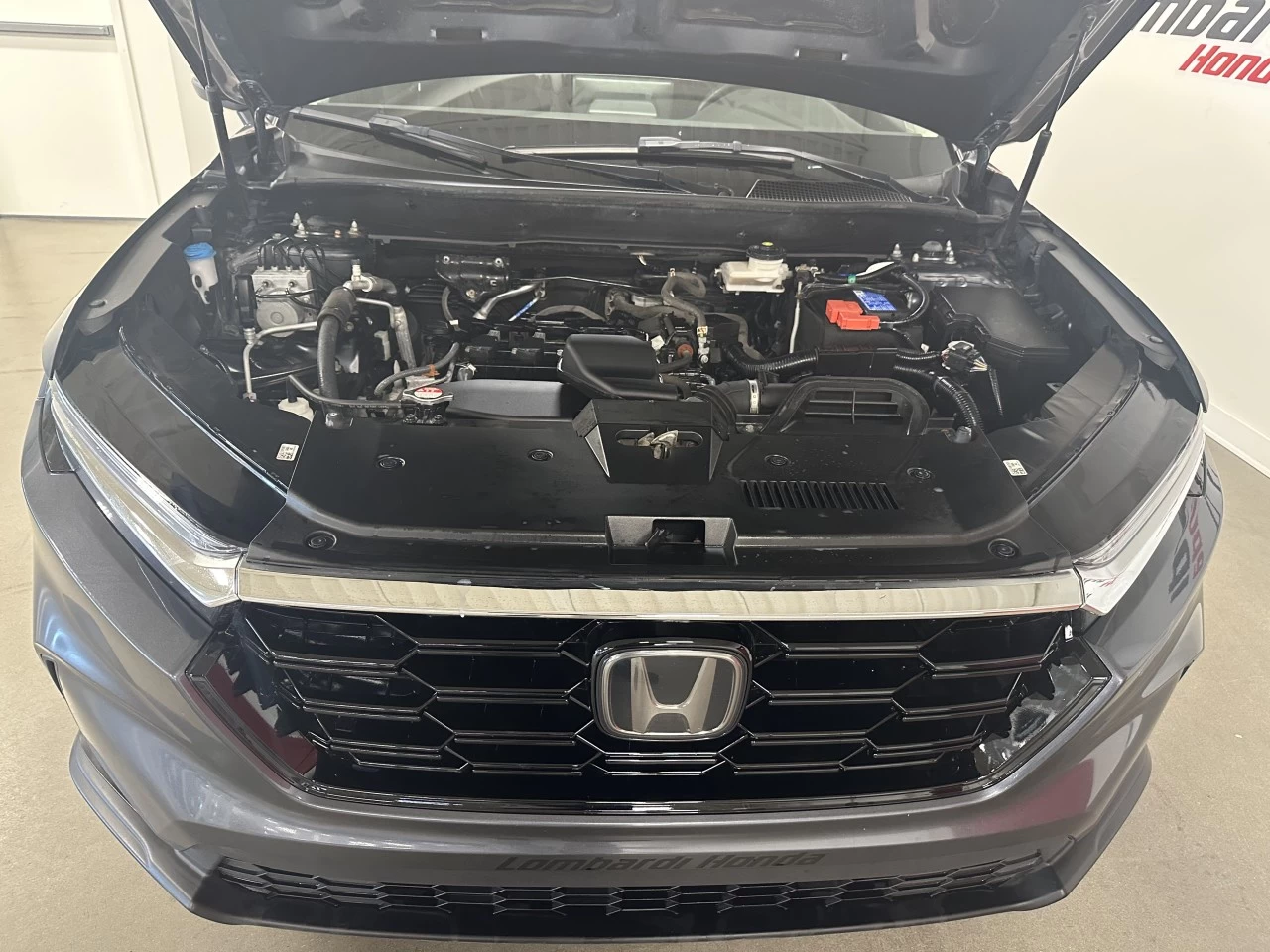 2023 Honda CR-V
                                                    Sport/Sport-B Main Image