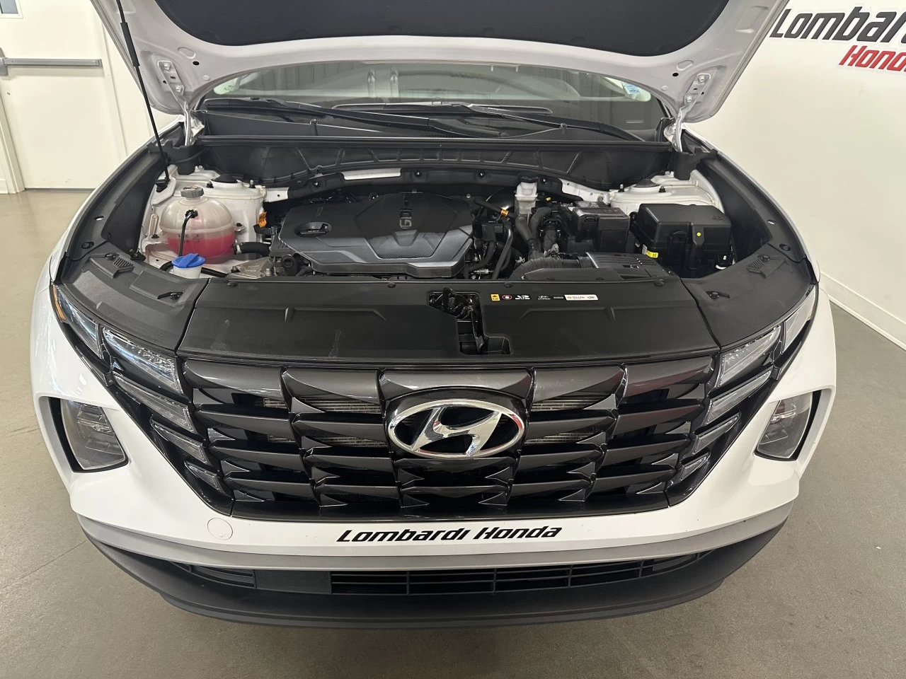 2024 Hyundai Tucson Preferred Main Image