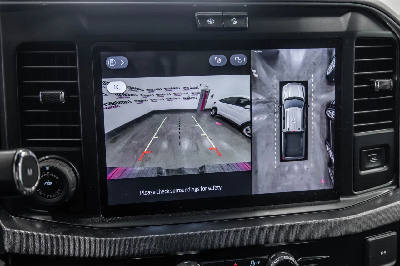 2025 Ford F-250 Platinum Main Image