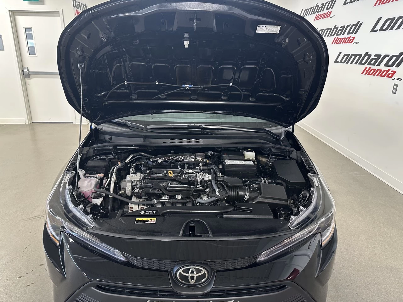 2024 Toyota Corolla
                                                    LE Main Image