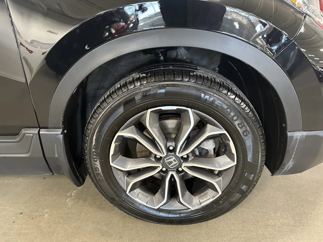 2022 Honda CR-V EX-L Main Image