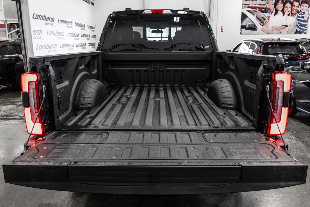 2025 Ford F-250 Platinum Main Image