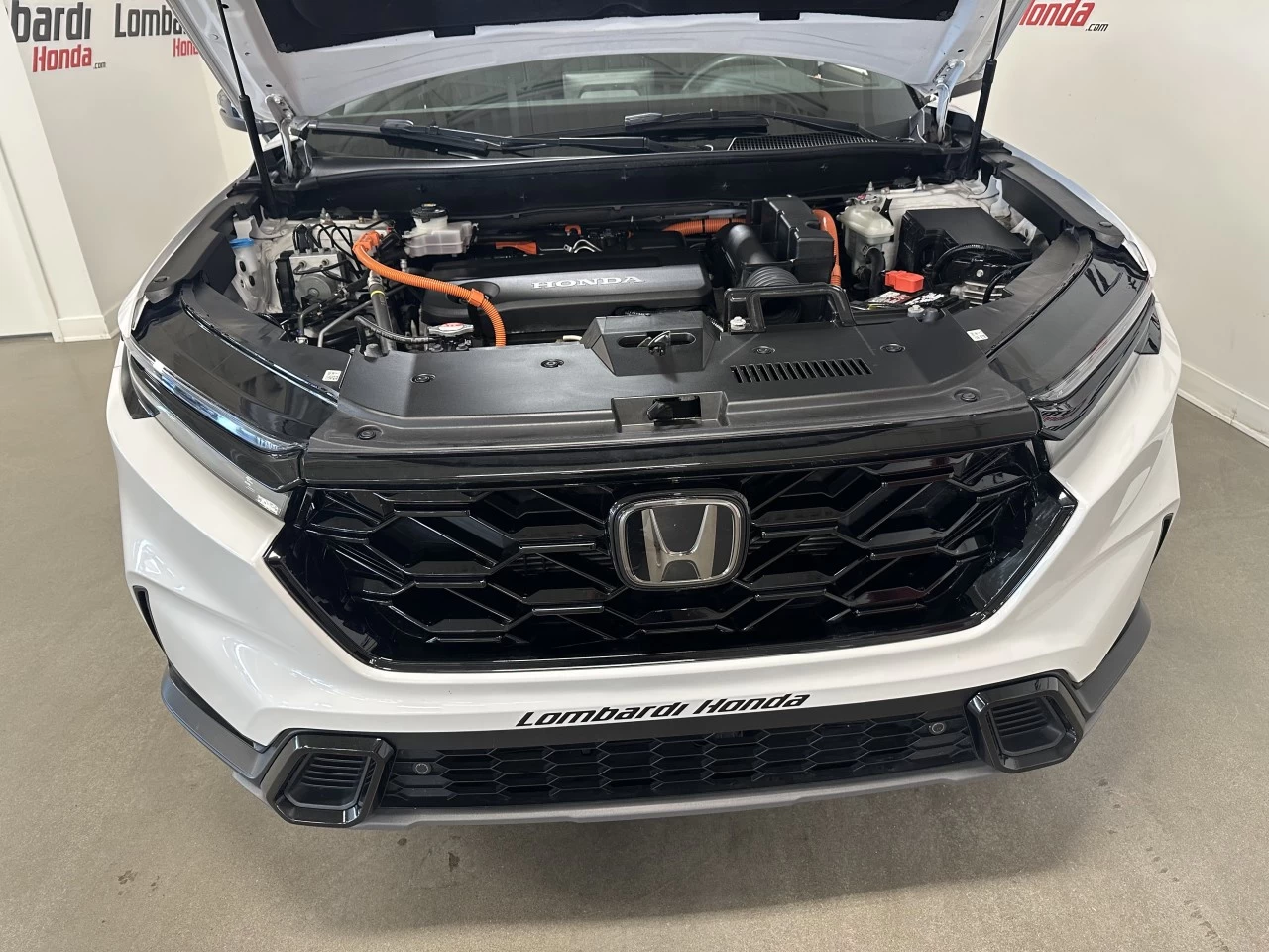 2024 Honda CR-V EX-L Main Image