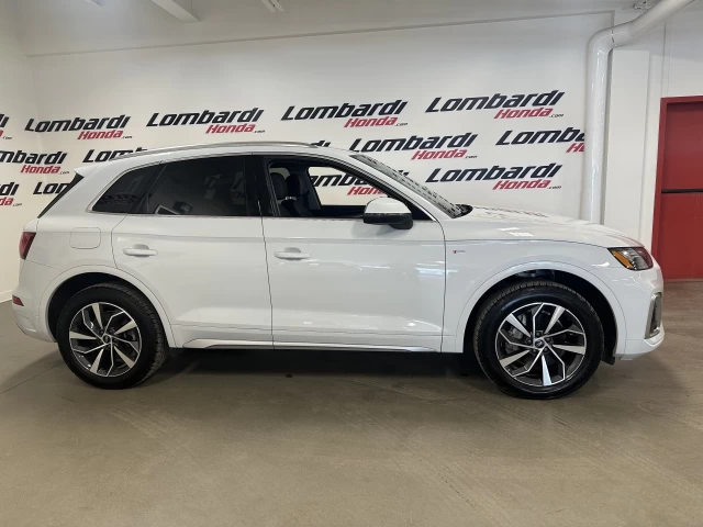 Audi Q5 Progressiv 2023