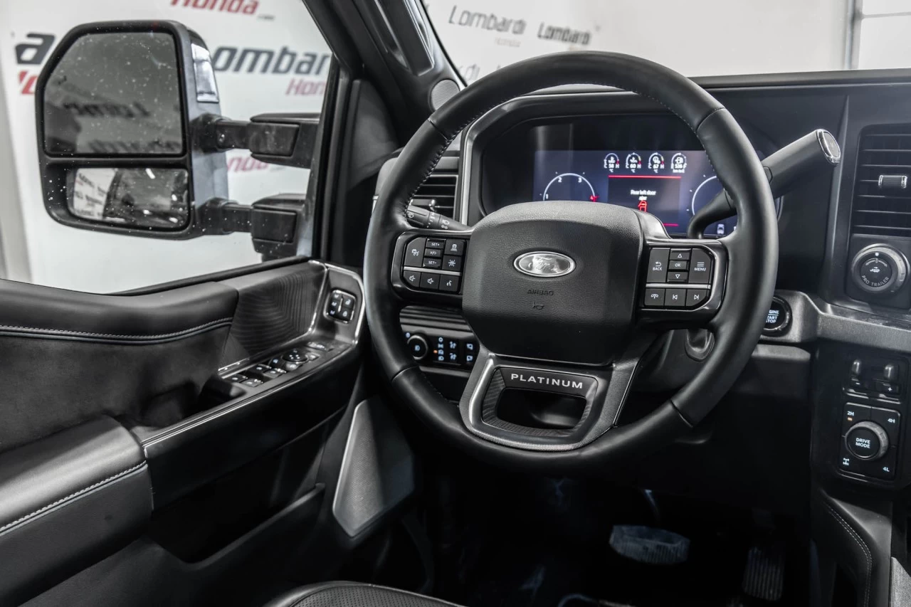 2025 Ford F-250 Platinum Main Image